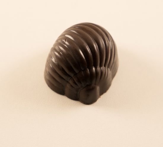 Chocolat Escargot